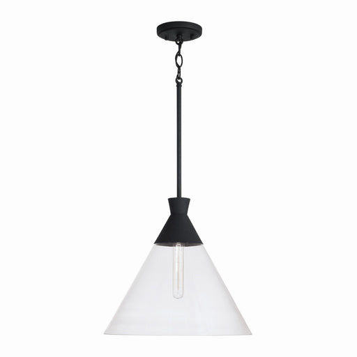 Paloma One Light Pendant in Textured Black