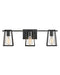 Filmore LED Vanity in Black