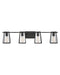 Filmore LED Vanity in Black