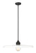 Paloma One Light Pendant in Matte Black by Z-Lite Lighting