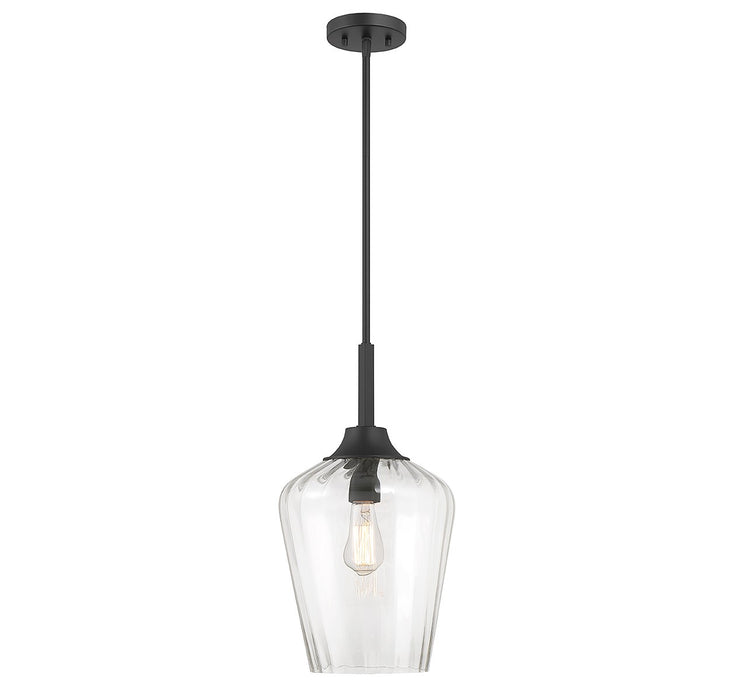 Carlton One Light Pendant in Matte Black