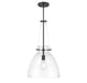 Foster One Light Pendant in Matte Black