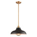 Grenville One Light Pendant in Brushed Gold