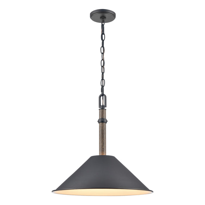 Neville One Light Pendant in Charcoal Black