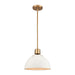 Zayne One Light Pendant in Matte White