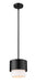 Counterpoint One Light Pendant in Matte Black by Z-Lite Lighting