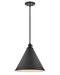 Arti LED Pendant in Black by Hinkley Lighting