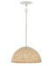 Dalia LED Pendant in Textured Plaster by Hinkley Lighting