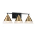 Avant Three Light Vanity in Aged Brass and Black