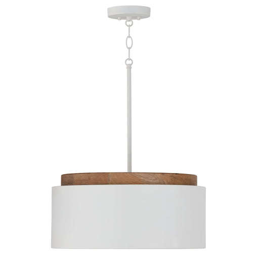 Liam One Light Pendant in Light Wood and White