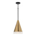 Avant One Light Pendant in Aged Brass and Black