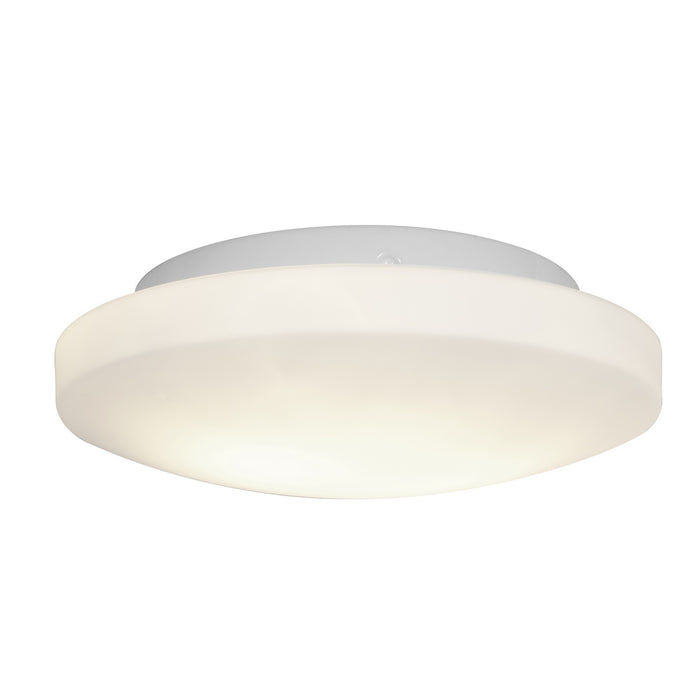 Orion 10.75" Flush Mount - Lamps Expo