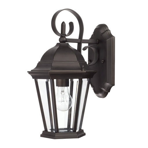 Carriage House 1 Light Outdoor Wall Lantern in Old Bronze