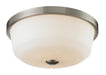 Montego 3 Light Flush Mount in Brushed Nickel