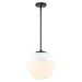 Dixon 1-Light Pendant with Rod in Matte Black