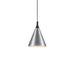 Dorothy Down Pendant in Combination Finishes