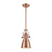 Chadwick 1-Light Mini-Pendant in Antique Copper