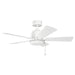 Bowen 42" Ceiling Fan - Lamps Expo