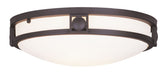 Titania 2-Light Ceiling Mount - Lamps Expo