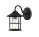 1-Light Outdoor Wall Lantern in Matte Black