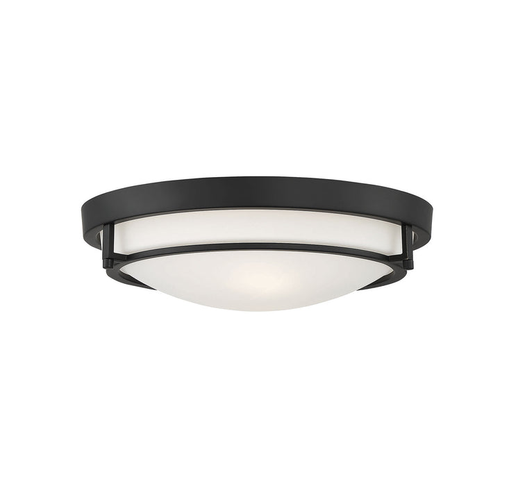 Meridian (M60019MBK) 2-Light Ceiling Light in Matte Black