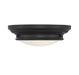 2-Light Ceiling Light in Matte Black