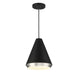 1-Light Pendant in Matte Black with Polished Nickel