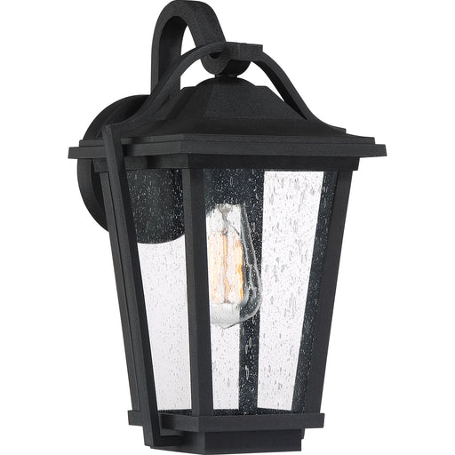 Darius 1-Light Outdoor Lantern in Earth Black