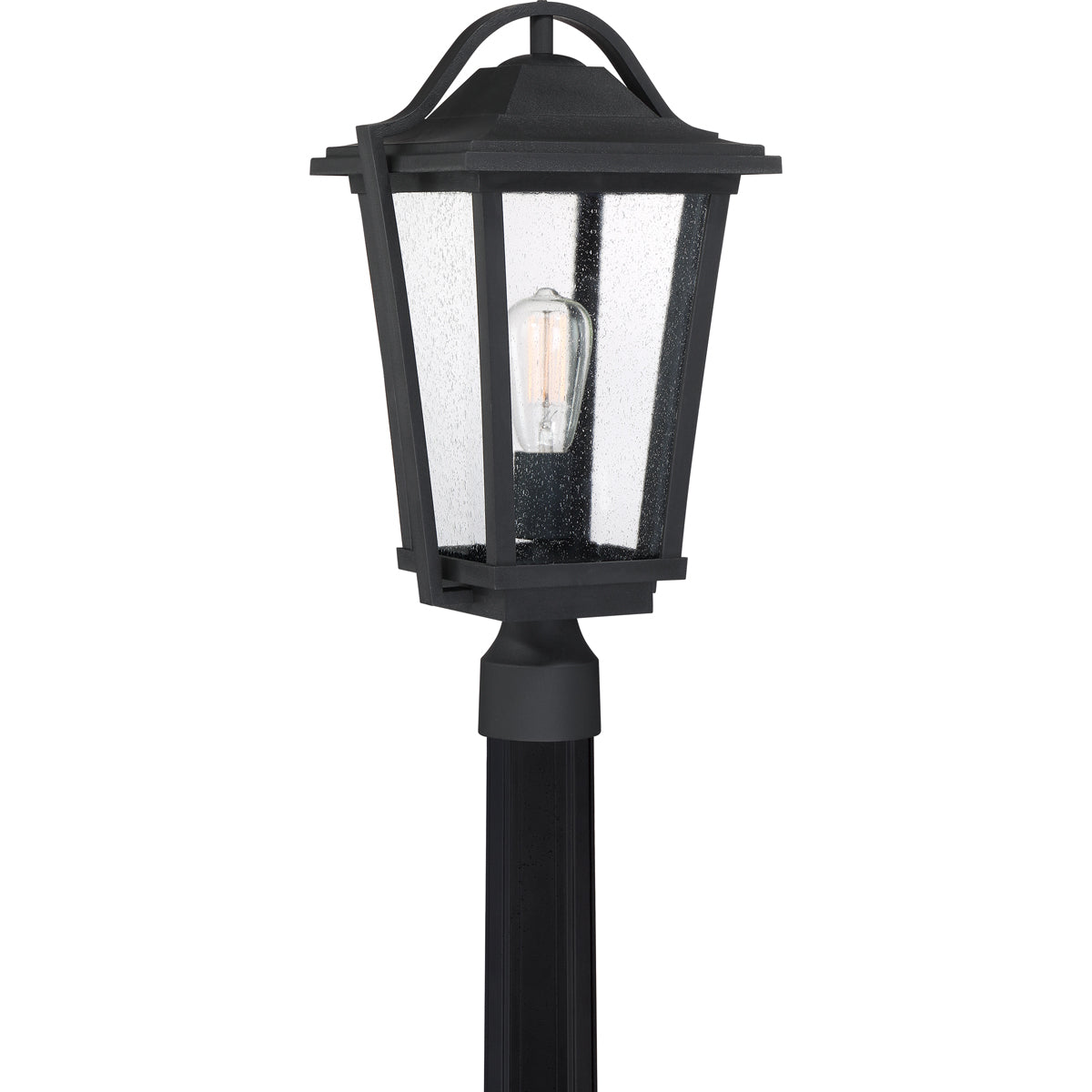 Darius 1-Light Outdoor Lantern in Earth Black